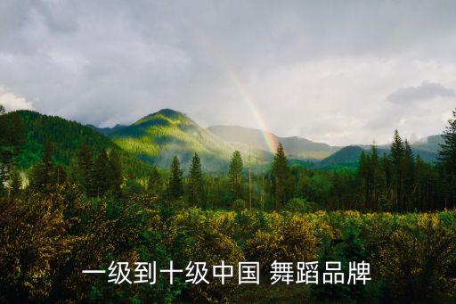 一级到十级中国 舞蹈品牌