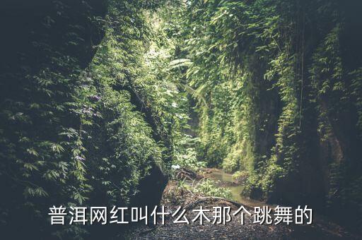 普洱网红叫什么木那个跳舞的