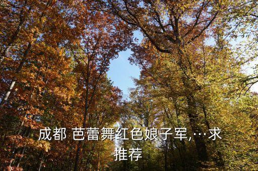  成都 芭蕾舞红色娘子军,···求推荐