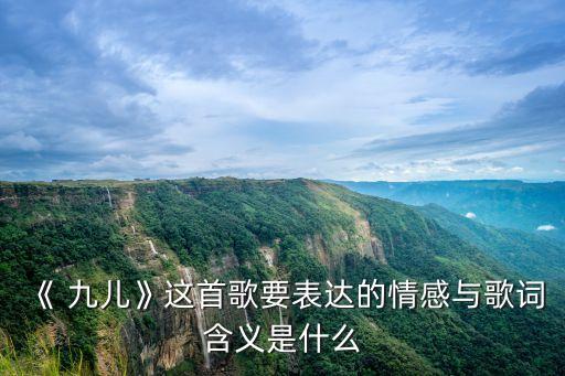 《 九儿》这首歌要表达的情感与歌词含义是什么