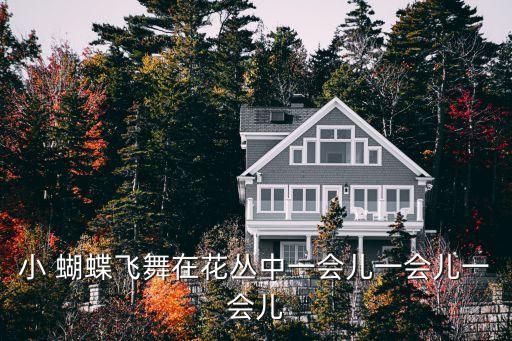 小 蝴蝶飞舞在花丛中一会儿一会儿一会儿