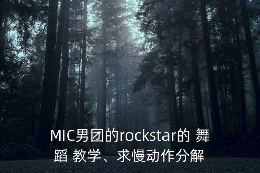 MIC男团的rockstar的 舞蹈 教学、求慢动作分解