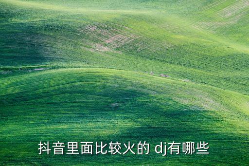 抖音里面比较火的 dj有哪些