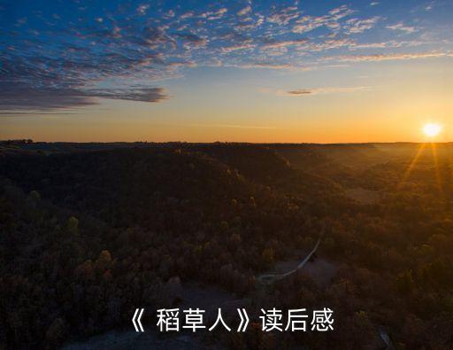 小小稻草人舞蹈,稻草人舞蹈视频在线观看