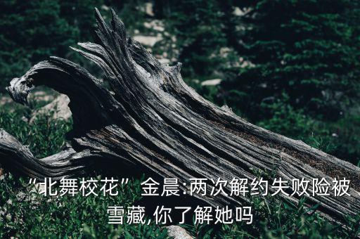 “北舞校花”金晨:两次解约失败险被雪藏,你了解她吗