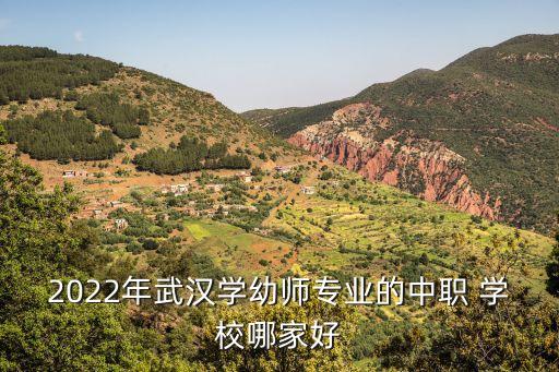 以幼师为主的舞蹈培训学校