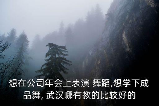 想在公司年会上表演 舞蹈,想学下成品舞, 武汉哪有教的比较好的