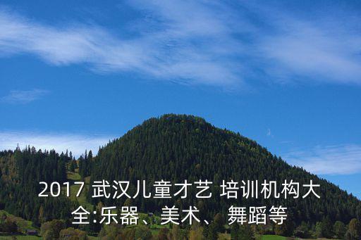 2017 武汉儿童才艺 培训机构大全:乐器、美术、 舞蹈等