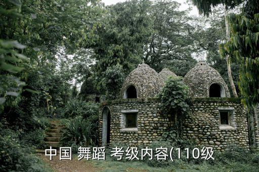 中国 舞蹈 考级内容(110级