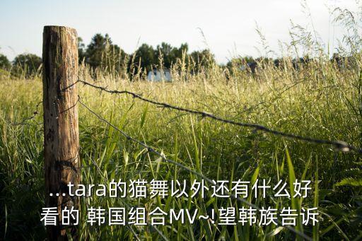 ...tara的猫舞以外还有什么好看的 韩国组合MV~!望韩族告诉