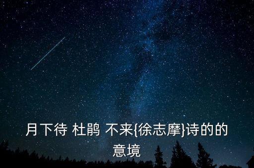月下待 杜鹃 不来{徐志摩}诗的的意境