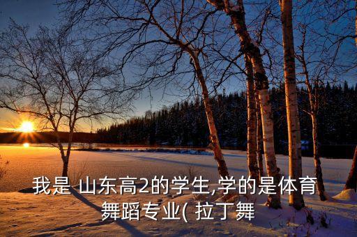 我是 山东高2的学生,学的是体育 舞蹈专业( 拉丁舞