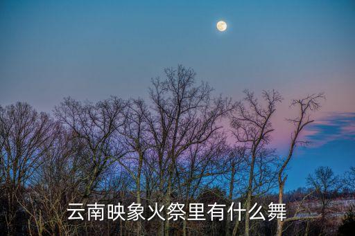 佤族舞蹈作品有哪些,佤族的舞蹈有哪些
