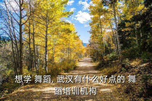 武汉国际舞蹈大赛视频,武汉小荷花舞蹈大赛