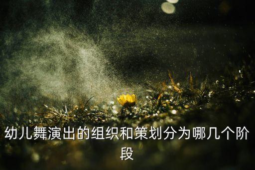幼儿舞演出的组织和策划分为哪几个阶段