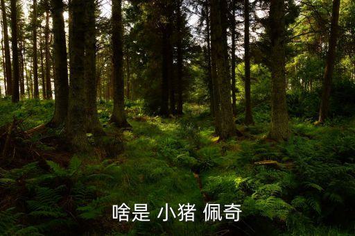 啥是 小猪 佩奇