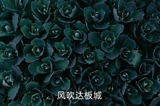 风吹达板城