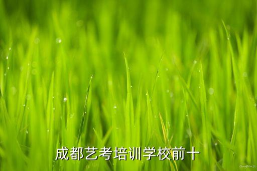 舞蹈高考培训班哪好,高考舞蹈分数线大概是多少