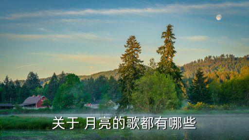 傣族舞蹈月亮纯音乐mp3,舞蹈月亮视频 傣族
