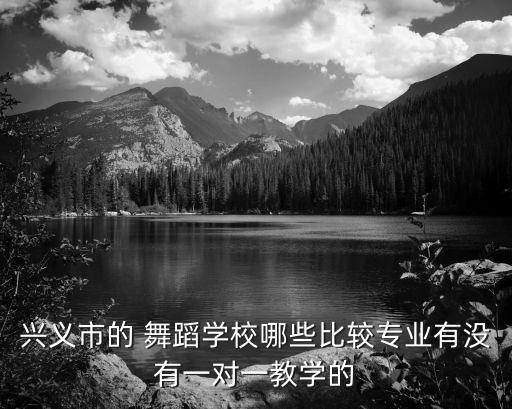 兴义市的 舞蹈学校哪些比较专业有没有一对一教学的