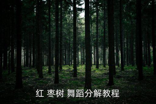 红 枣树 舞蹈分解教程