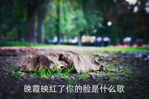晚霞映红了你的脸是什么歌