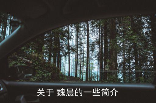 关于 魏晨的一些简介