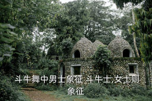 西班牙斗牛舞蹈幼儿园,正宗西班牙斗牛舞蹈视频
