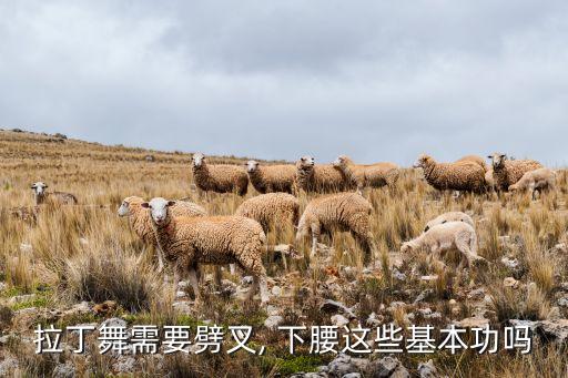 拉丁舞需要劈叉, 下腰这些基本功吗