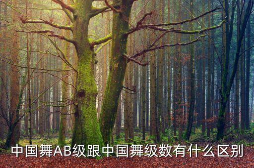 中国舞AB级跟中国舞级数有什么区别