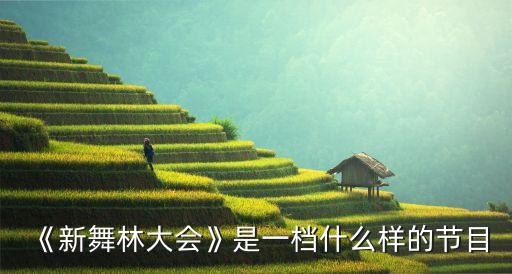 《新舞林大会》是一档什么样的节目