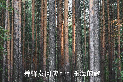  养蜂女回应可可托海的歌