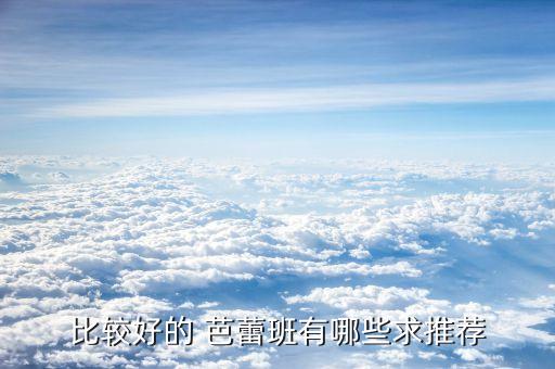 比较好的 芭蕾班有哪些求推荐