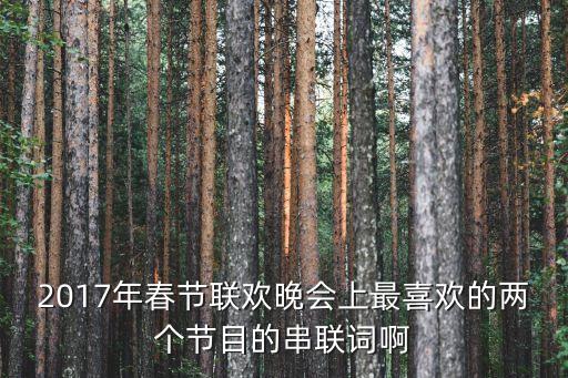 2017年春节联欢晚会上最喜欢的两个节目的串联词啊