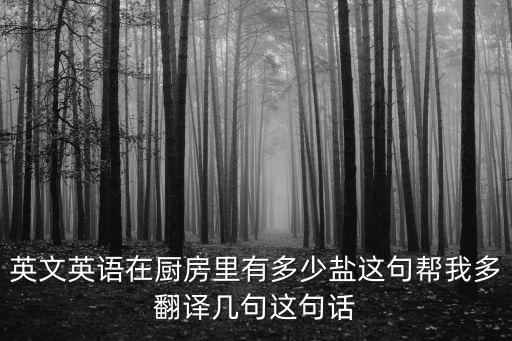 英文英语在厨房里有多少盐这句帮我多翻译几句这句话