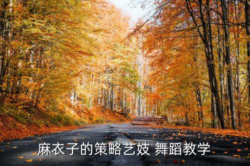 麻衣子的策略艺妓 舞蹈教学