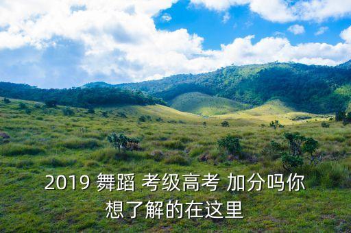 2019 舞蹈 考级高考 加分吗你想了解的在这里