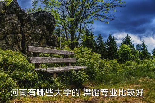 河南有哪些大学的 舞蹈专业比较好