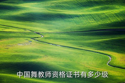 中国舞教师资格证书有多少级
