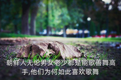 朝鲜舞蹈上颠动律