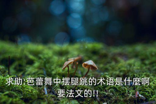 求助:芭蕾舞中摆腿跳的术语是什麼啊要法文的!!