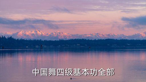 波浪舞蹈考级