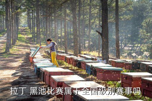拉丁 黑池比赛属于全国级别赛事吗