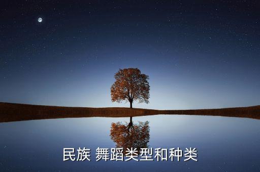 民族 舞蹈类型和种类