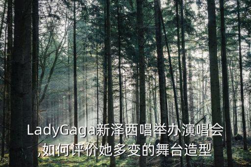 LadyGaga新泽西唱举办演唱会,如何评价她多变的舞台造型