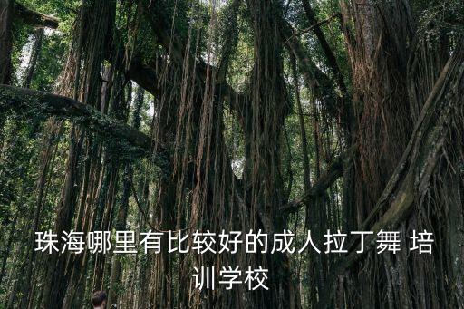  珠海哪里有比较好的成人拉丁舞 培训学校