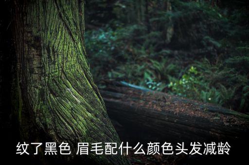 纹了黑色 眉毛配什么颜色头发减龄