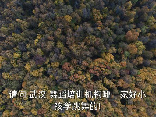 武汉凌晨舞蹈,武汉227舞蹈工作室