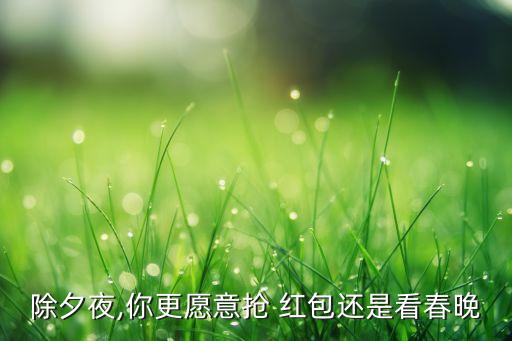 除夕夜,你更愿意抢 红包还是看春晚