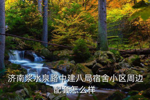  济南浆水泉路中建八局宿舍小区周边配套怎么样